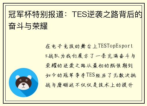 冠军杯特别报道：TES逆袭之路背后的奋斗与荣耀