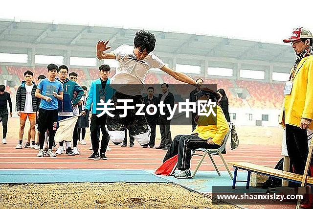 关于zoty中欧